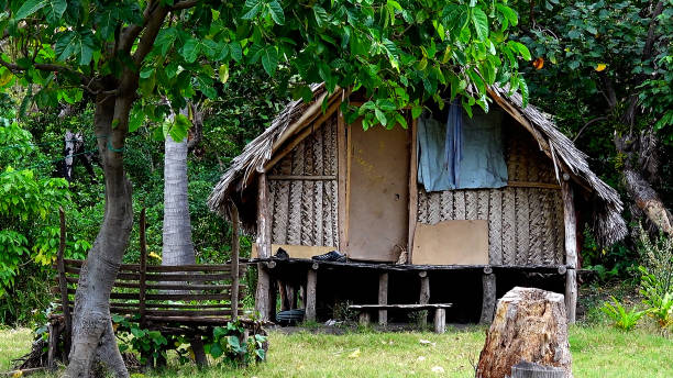 A thatched hut surrounded by trees on Efate Island in Vanuatu