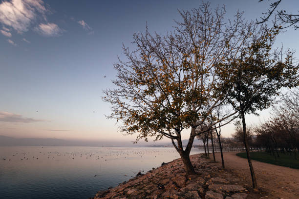 Sunrise Bliss: A Moment of Stillness