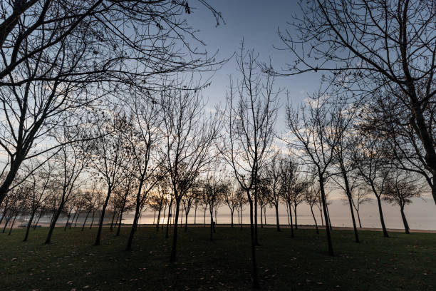 Sunrise Bliss: A Moment of Stillness