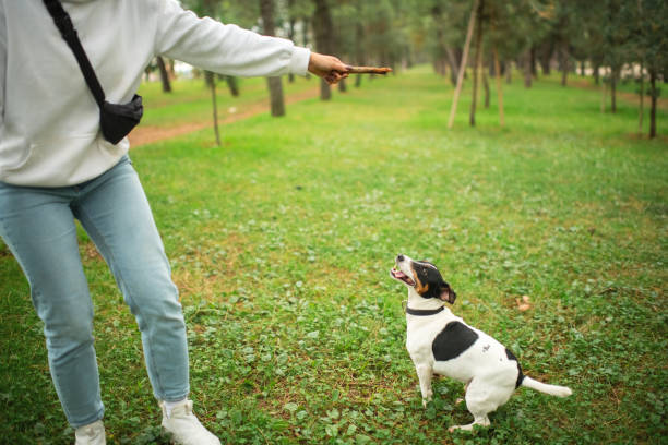 istock Young woman with her cute dog in a park 2191553082