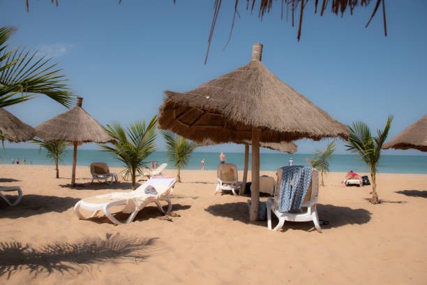istock Parasols and palm trees on a sandy beach. 2191553126