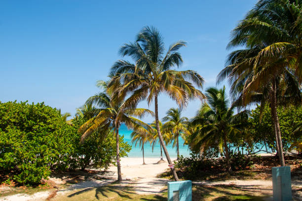 istock Beautiful palm trees on a tropic beach. 2191553543