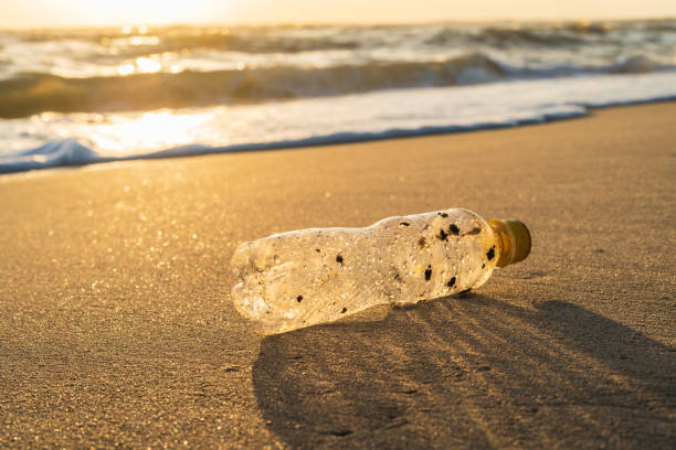 istock A plastic bottle lies on the beach, illuminated by the orange sunrise. 2191553634