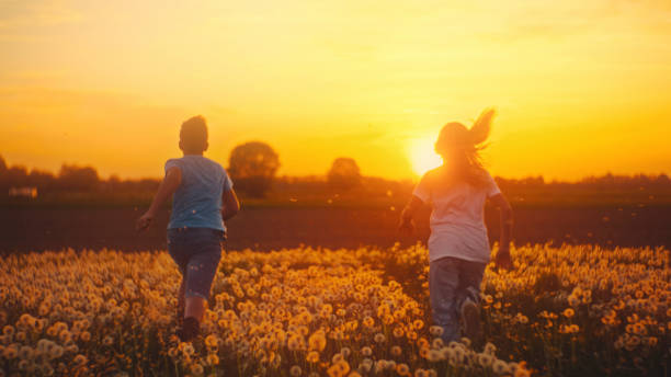 istock Carefree Children Explore Wild Dandelion Field Under Glowing Evening Sun 2191560626