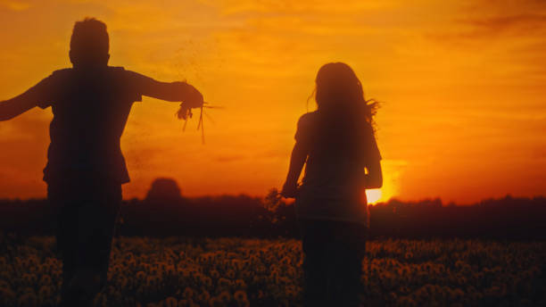 Two children explore a vast dandelion meadow as golden sunset light creates dramatic silhouettes against the orange sky. Summer outdoor adventure.