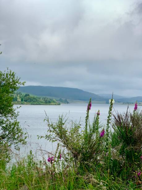 istock Backwater Reservoir, Scotland 2191561205