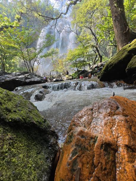 istock Khlonglan waterfall with moss and fern in rainforest 2191564117