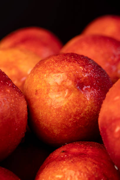 a small harvest of ripe washed nectarines in drops