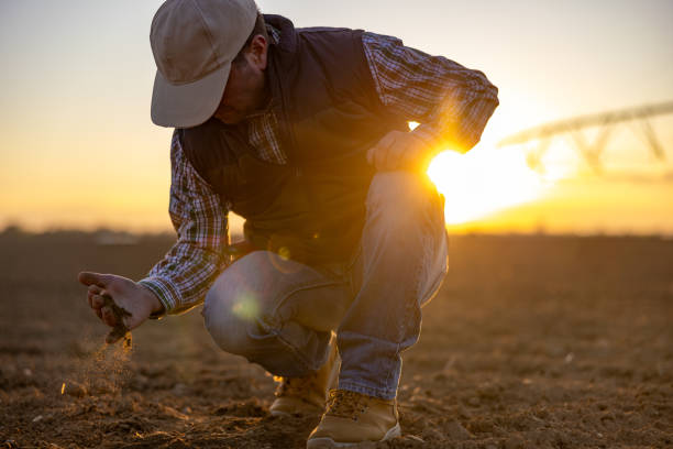 istock Farmer Assessing Soil Quality at Sunset with Sprinkler System in Background 2191568133