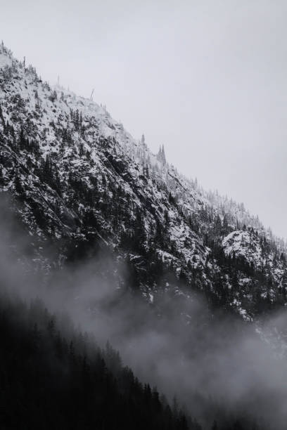 istock Snow covered trees on a mountain with fog in winter. Alberta, Canada 2191569212