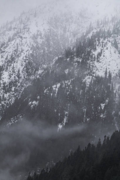 istock Snow covered trees on a mountain with fog in winter. Alberta, Canada 2191569237