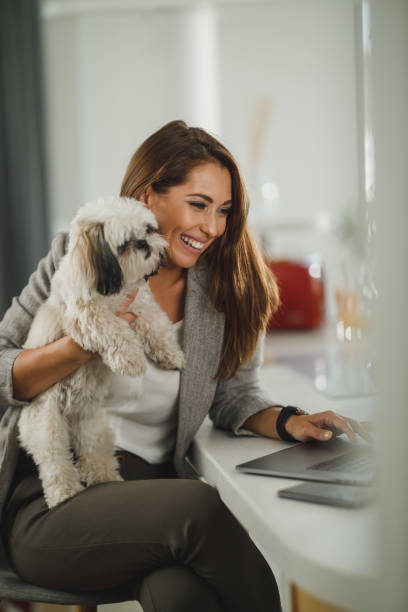 istock My Best Friend Always Wants To Cuddle While I'm Working 2191571270