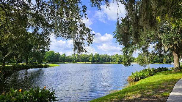 Park in the city with big lake