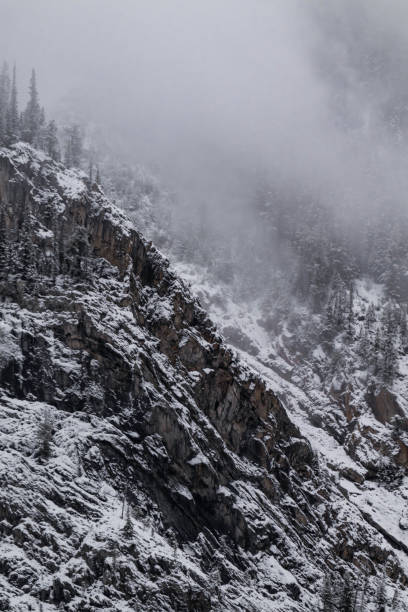 istock Snow covered trees on a mountain with fog in winter. Alberta, Canada 2191575475