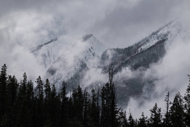 istock Snow covered trees on a mountain with fog in winter. Alberta, Canada 2191578184