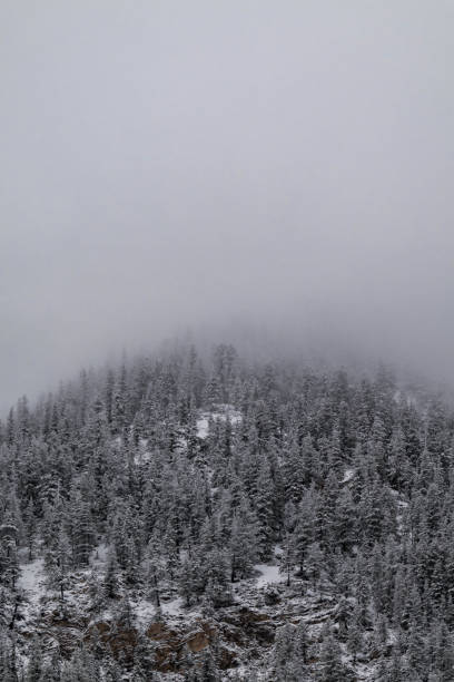 istock Snow covered trees on a mountain with fog in winter. Alberta, Canada 2191578224