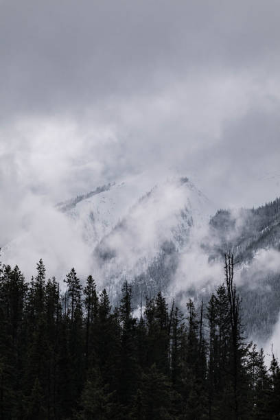 istock Snow covered trees on a mountain with fog in winter. Alberta, Canada 2191578247