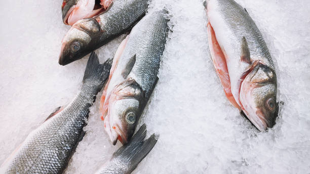 istock Fresh trout on ice in a supermarket. 2191578582