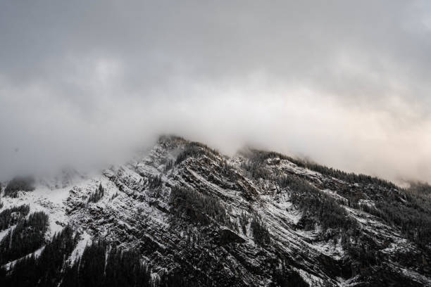 Snow covered trees on a mountain with fog in winter. Alberta, Canada