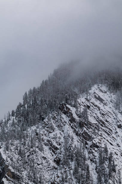 istock Snow covered trees on a mountain with fog in winter. Alberta, Canada 2191579280