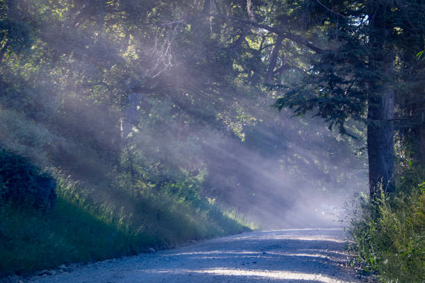istock Forest highway, nahuel huapi park, rio negro province, argentina, 2191581924