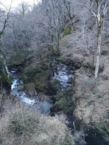 istock Stream in the woods, Antigorio valley 2191586463