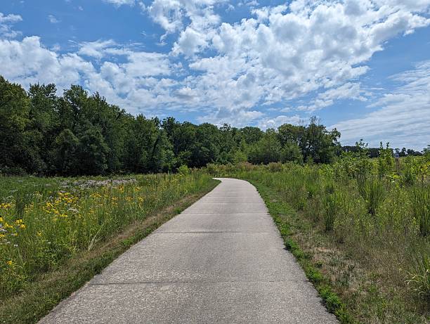 istock Long walks in the summer 2191587195