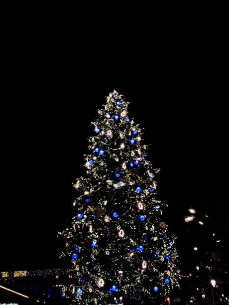 Visit the beautiful city of Strasbourg during the festive season