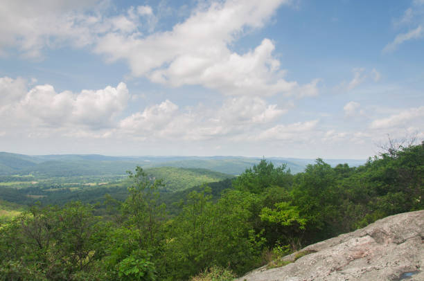 The macedonia ridge trail in Kent Connecticut on a summer day.