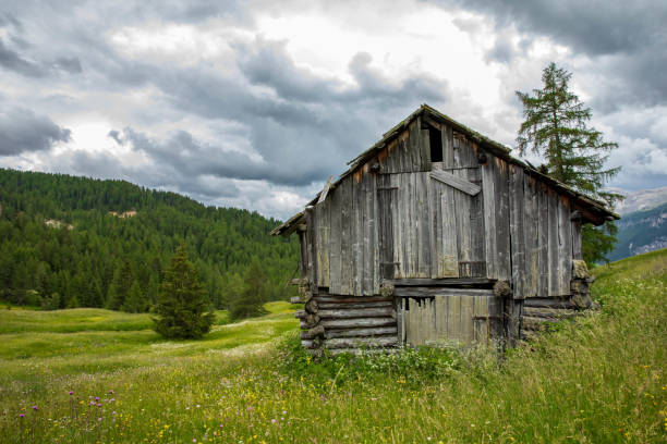 The Armentara meadows  are located between 1,600 and 2,000 meters above sea level below the rock faces of the \