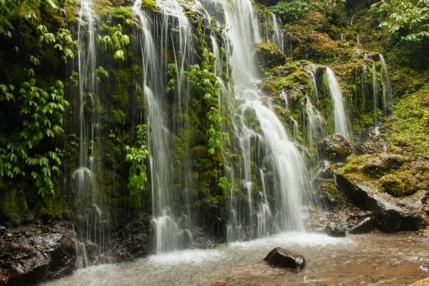 istock A tropical Banyu Wana Amertha waterfall in Bali with many streams overgrown with lush greenery and moss. 2191591943