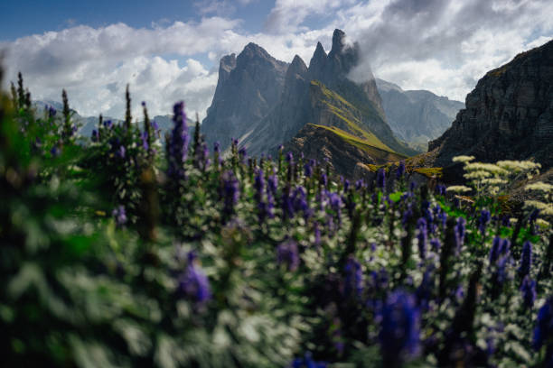Beautiful landscape on high altitude moutnains