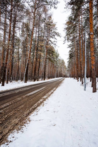 Imagine a tranquil, snowy road winding its way through a beautiful forest where the trees are majestically covered in a thick layer of pure snow, creating a picturesque winter wonderland scene