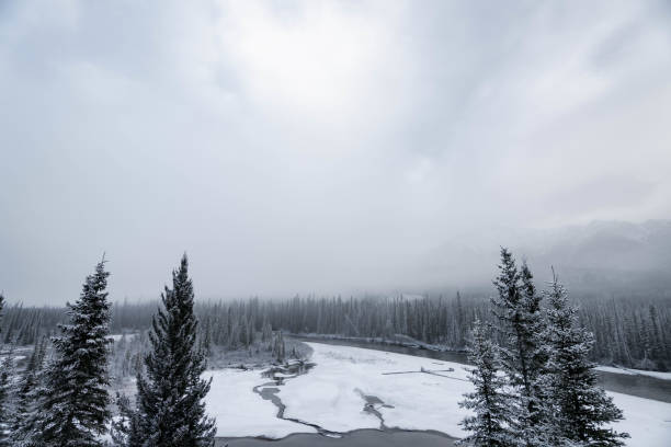 Winter landscape in Alberta, Canada with a river and conifer trees