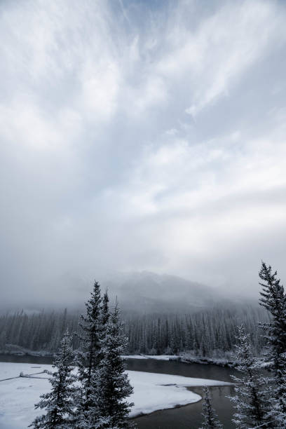 Winter landscape in Alberta, Canada with a river and conifer trees