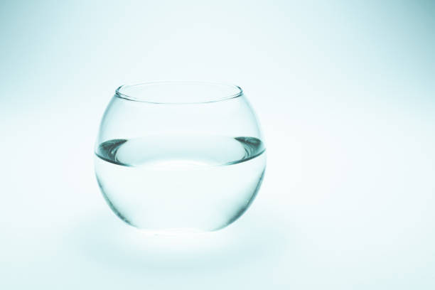 Transparent aquarium with clear water on white with copy space