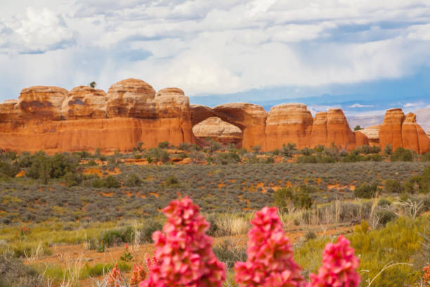istock Arches National Park, Utah 2191599796