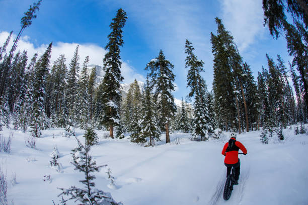 istock Winter Fat Bike Ride on a Sunny Day 2191604429