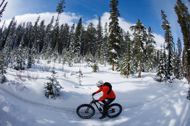 istock Winter Fat Bike Ride on a Sunny Day 2191604431