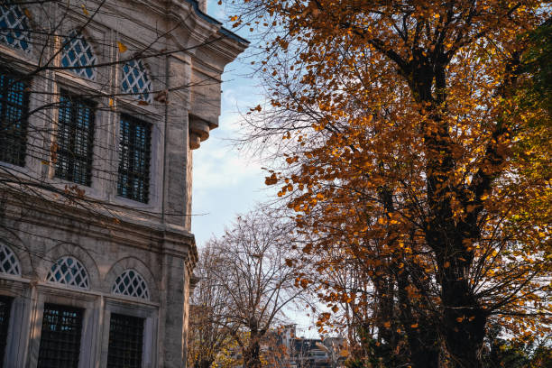 istock Ancient mosque building with autumn trees in Istanbul 2191604919