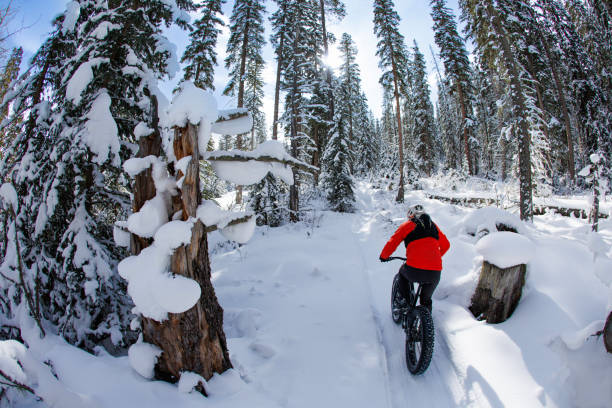 istock Winter Fat Bike Ride in the Forest 2191606239