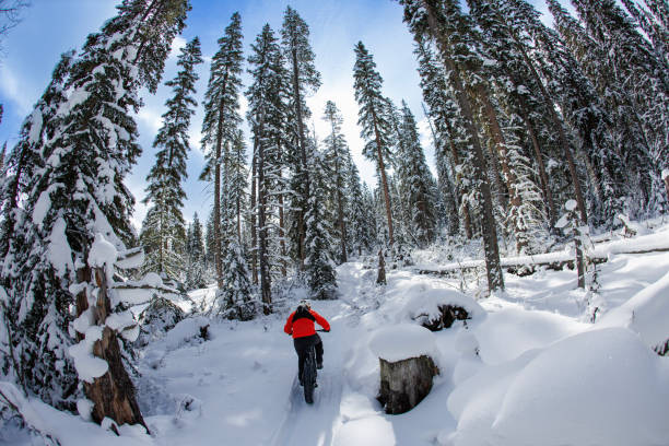 istock Winter Fat Bike Ride in the Forest 2191606241