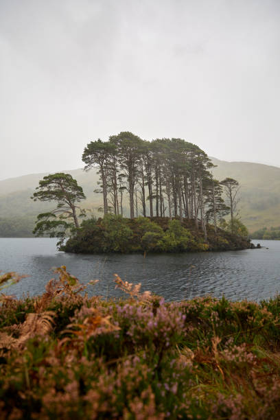 Eilean na Moine, Dumbledore's grave