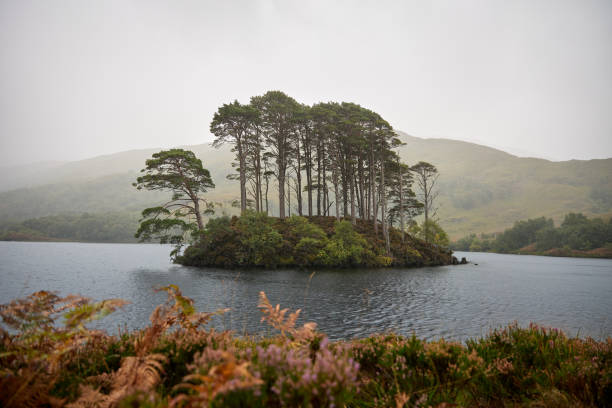 istock Eilean na Moine, Dumbledore's grave 2191606828