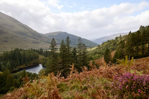 An autumnal scene in the Scottish Highlands