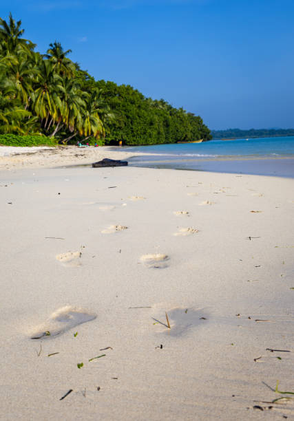 istock human footprints on white sandy beach by the sea at morning 2191611666