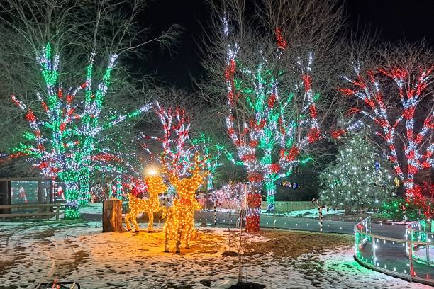 istock Outdoor Christmas Lights 2191616948