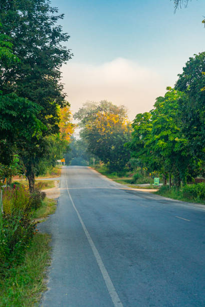 istock Country road flanked by trees on both sides, Chiang Rai, Thailand 2191618009