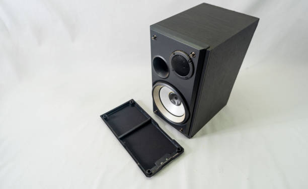 istock Professional Speaker with very good sound quality 2191618011