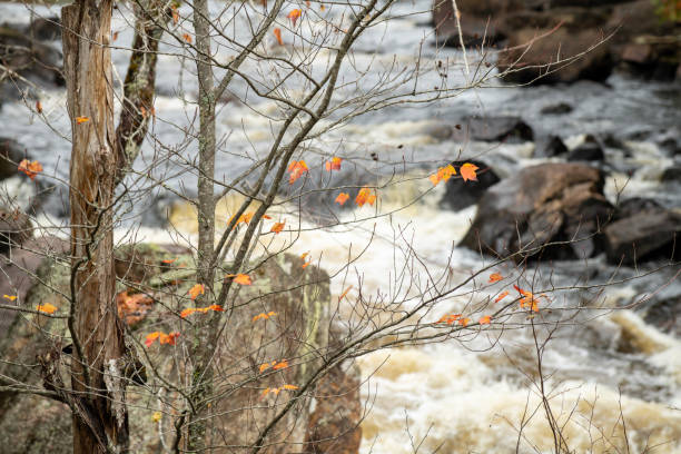 River at Mont Tremblant National Park in Autumn, Quebec, Canada